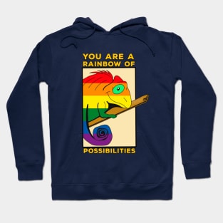 You are a rainbow of possibilities Hoodie